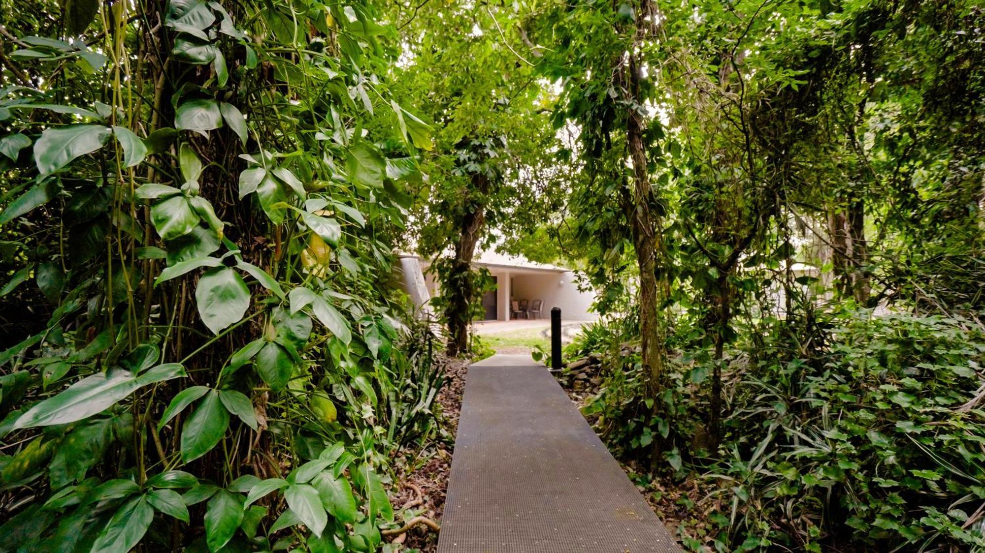 Invercauld House Goonellabah Extérieur photo